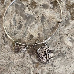 Alex and ani